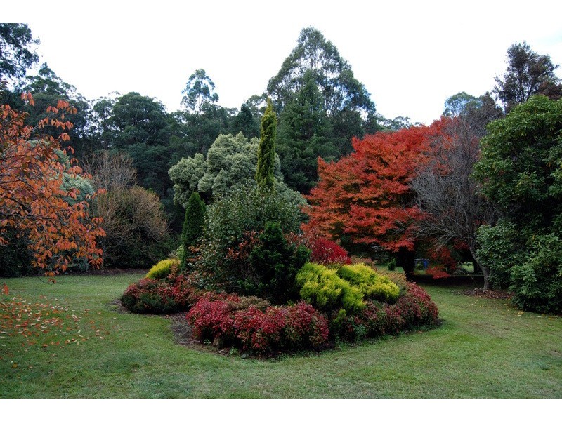 Noojee VIC 3833