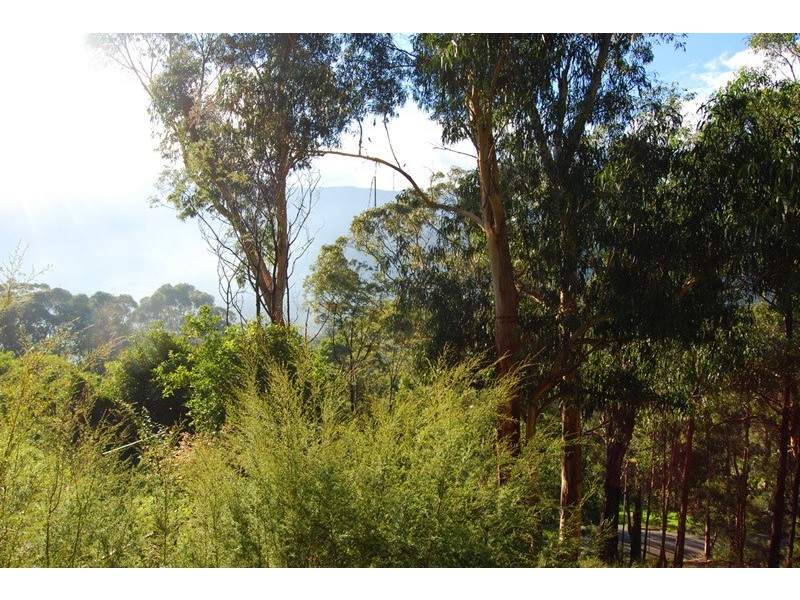 1 Damon Court, Millgrove VIC 3799