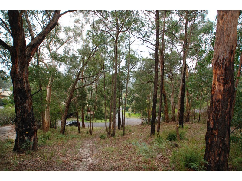 1 Damon Court, Millgrove VIC 3799