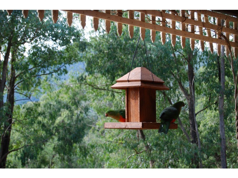 Mcmahons Creek VIC 3799