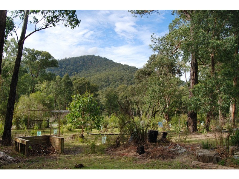 Mcmahons Creek VIC 3799