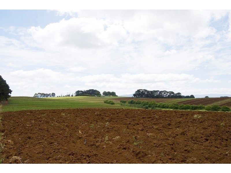 56 Matheson Road, Neerim Junction VIC 3821