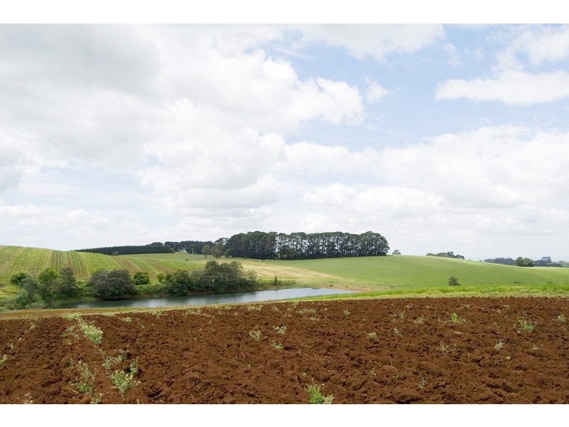 56 Matheson Road, Neerim Junction VIC 3821