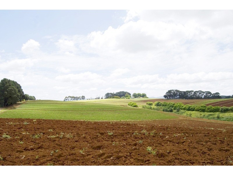 56 Matheson Road, Neerim Junction VIC 3821