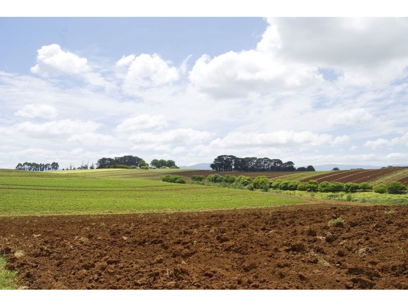 56 Matheson Road, Neerim Junction VIC 3821