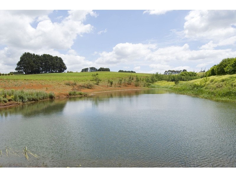 56 Matheson Road, Neerim Junction VIC 3821