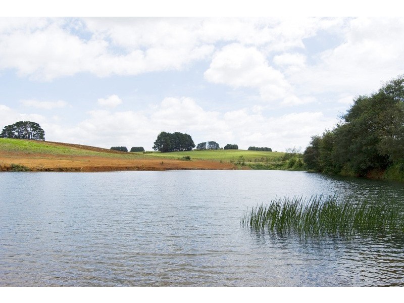 56 Matheson Road, Neerim Junction VIC 3821