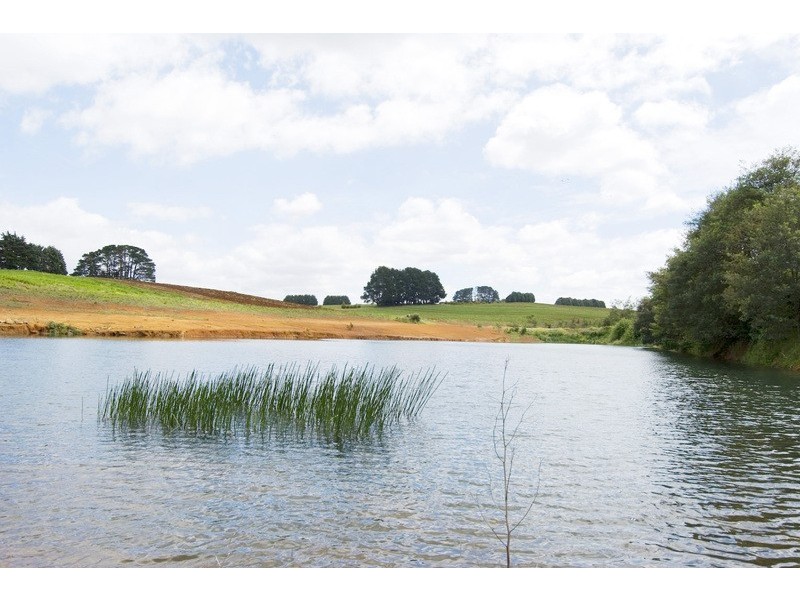 56 Matheson Road, Neerim Junction VIC 3821