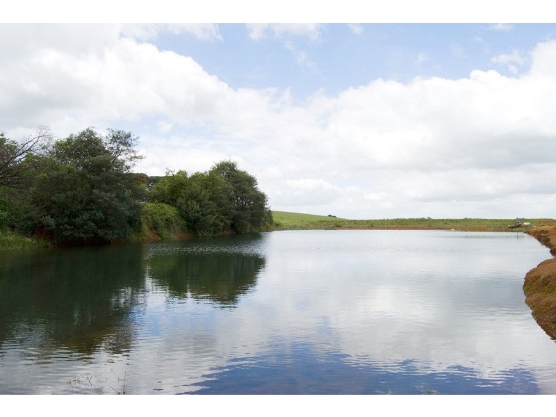 56 Matheson Road, Neerim Junction VIC 3821