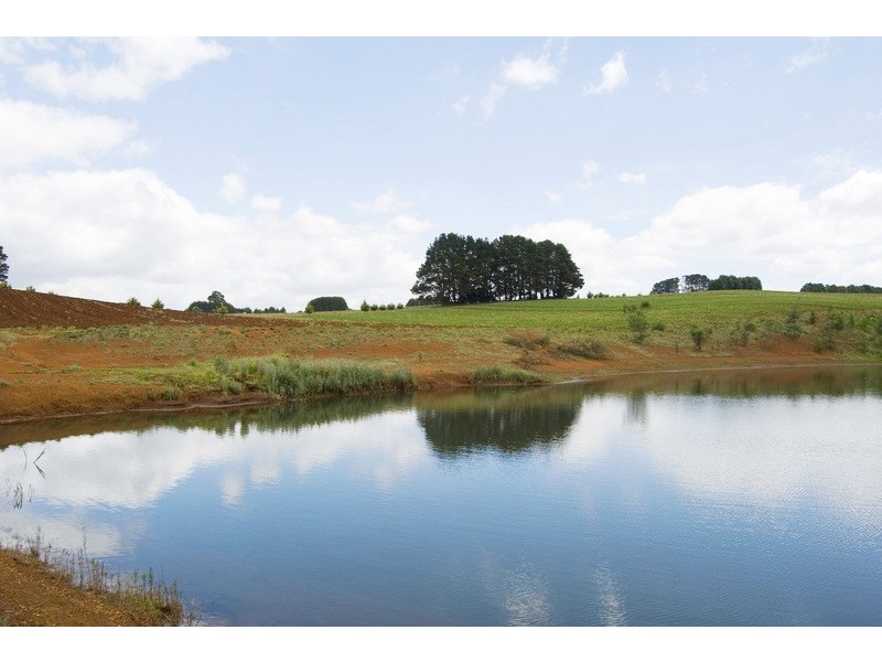 56 Matheson Road, Neerim Junction VIC 3821