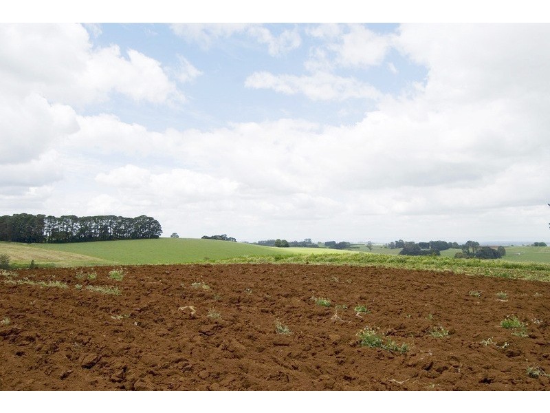 56 Matheson Road, Neerim Junction VIC 3821