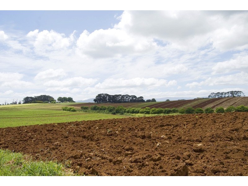 56 Matheson Road, Neerim Junction VIC 3821