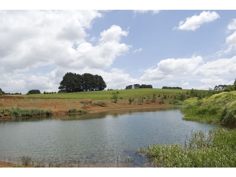 56 Matheson Road, Neerim Junction VIC 3821