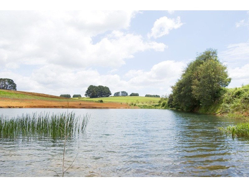 56 Matheson Road, Neerim Junction VIC 3821