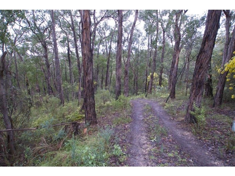 23 Lusatia Park Road, Woori Yallock VIC 3139