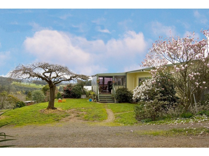 Hoddles Creek VIC 3139