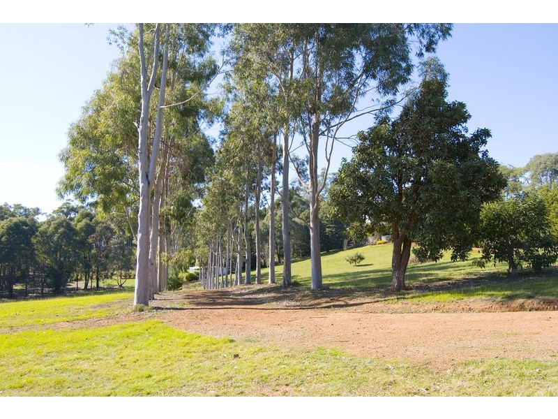 Hoddles Creek VIC 3139