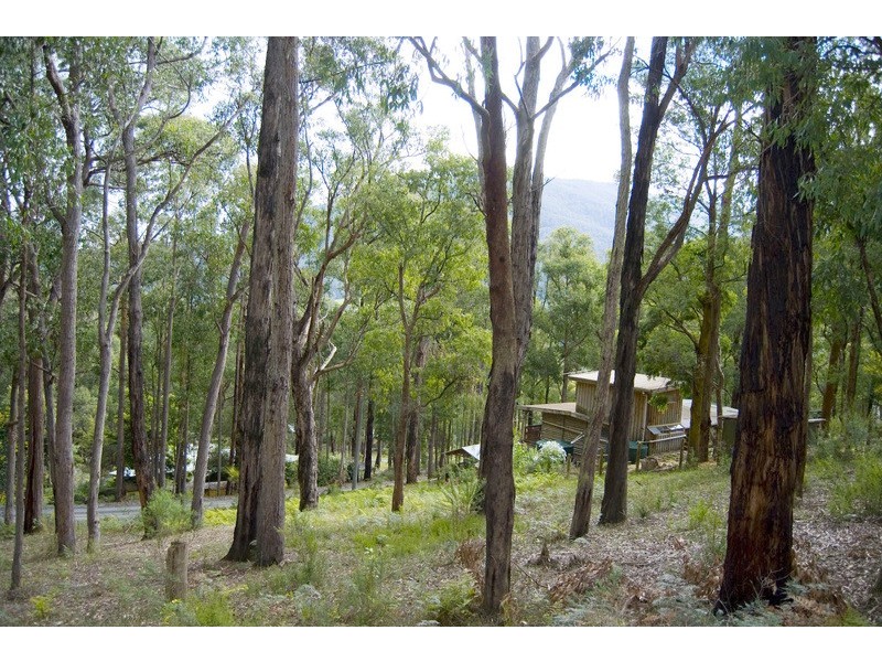 3 The Rise, East Warburton VIC 3799
