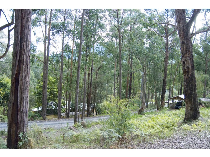 3 The Rise, East Warburton VIC 3799