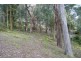 3 The Rise, East Warburton VIC 3799