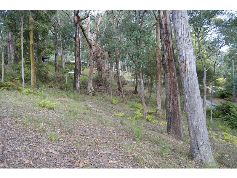 3 The Rise, East Warburton VIC 3799