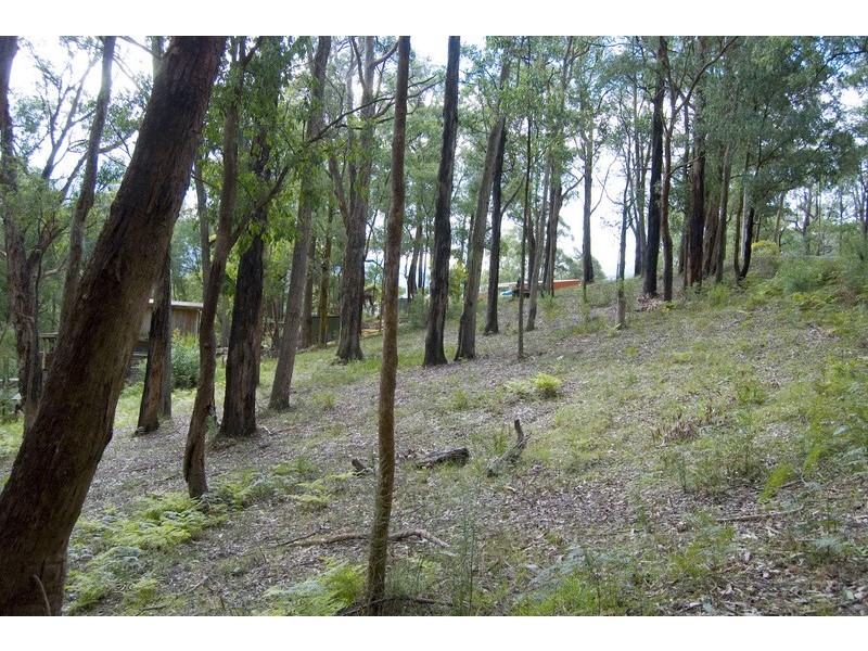 3 The Rise, East Warburton VIC 3799