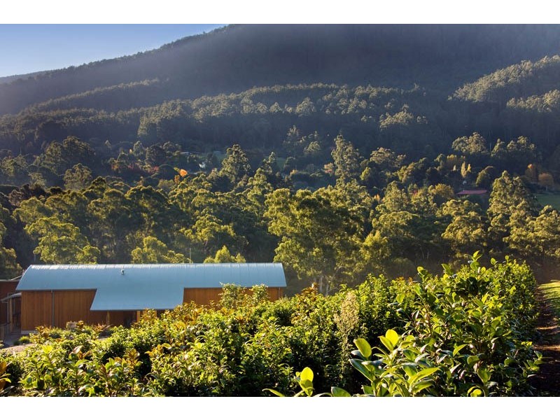 Warburton VIC 3799