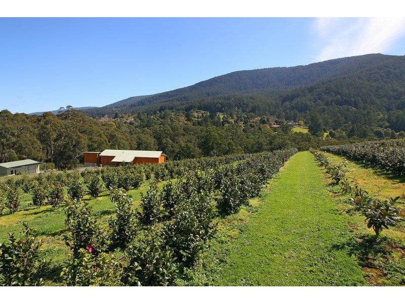 Warburton VIC 3799