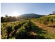 Warburton VIC 3799