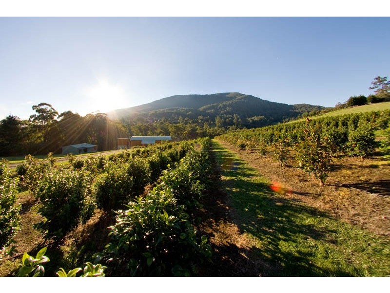 Warburton VIC 3799