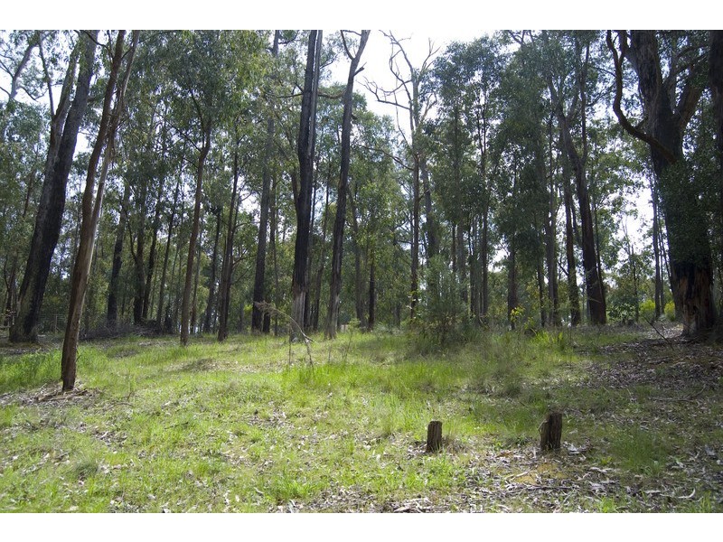 12 Hall Road, Mcmahons Creek VIC 3799