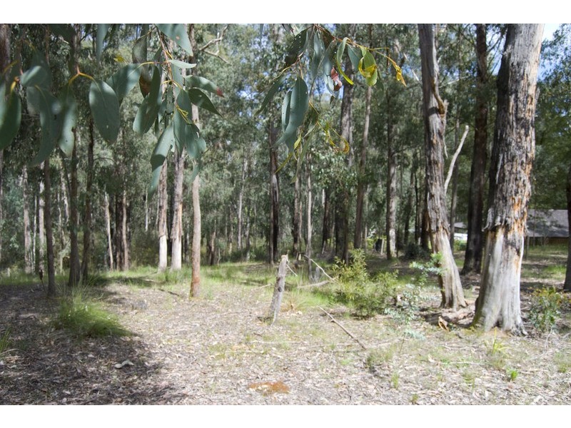 12 Hall Road, Mcmahons Creek VIC 3799