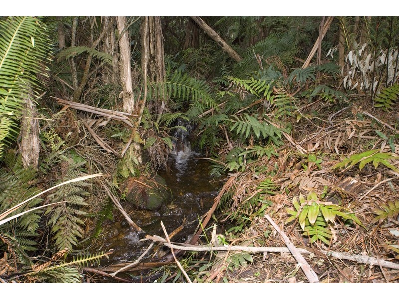 Lot 1 Anne Crescent, Warburton VIC 3799