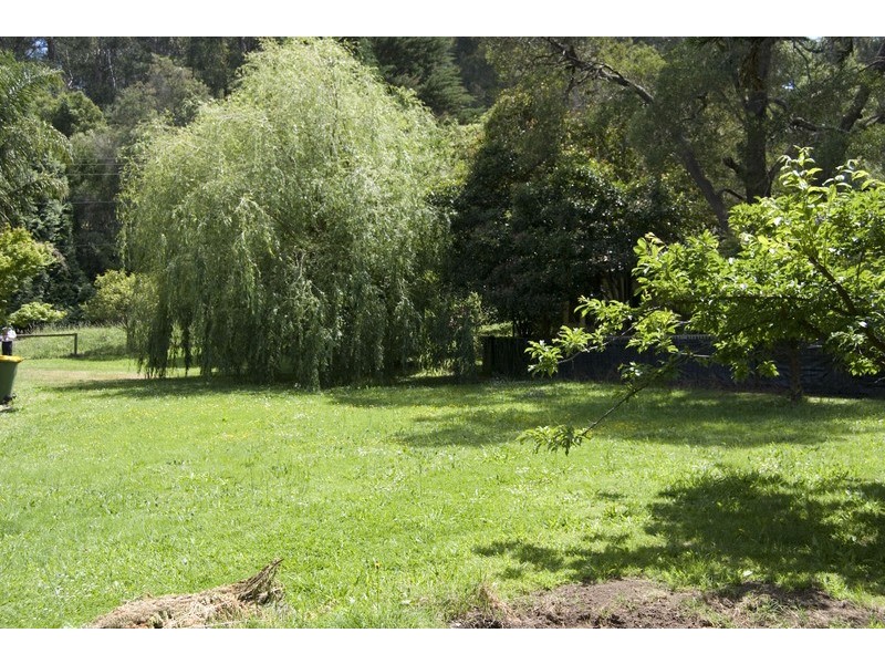 110 Wonga Road, Millgrove VIC 3799