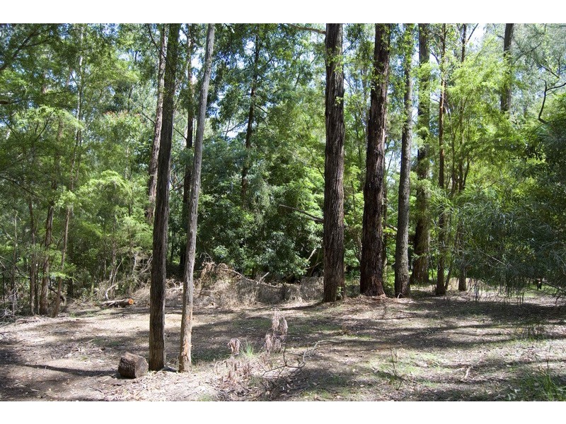 28 Forest Road, Wesburn VIC 3799