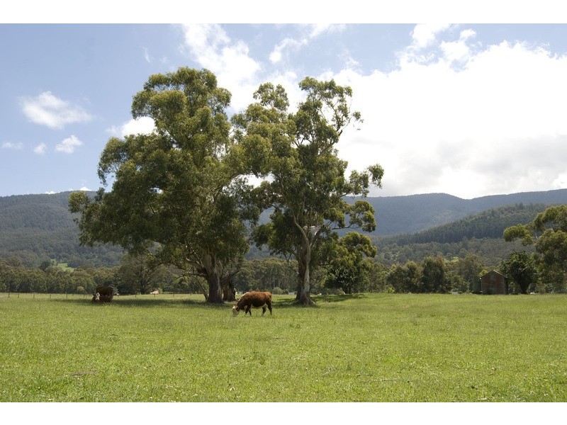 3015 Warburton Highway, Millgrove VIC 3799