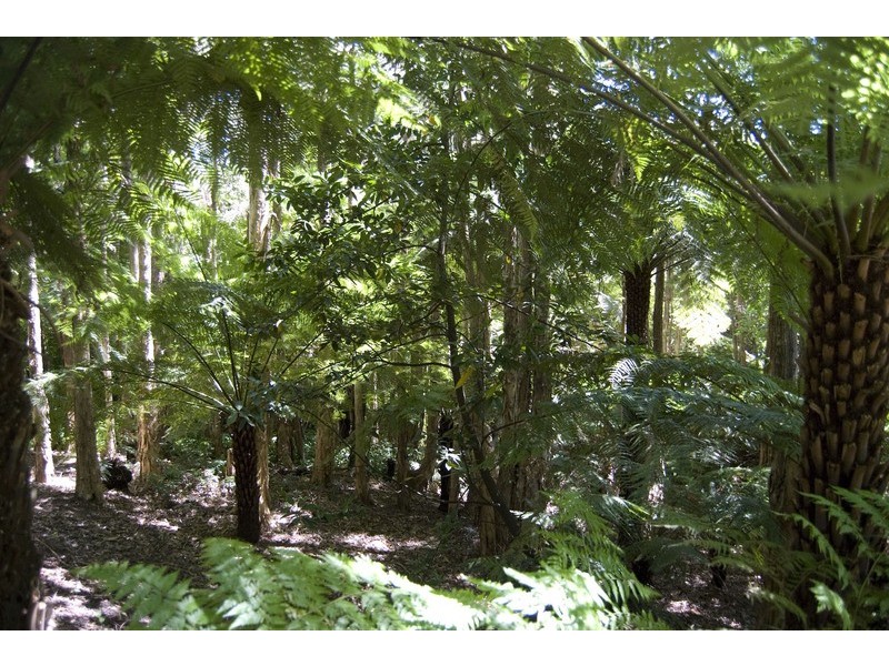 Warburton VIC 3799