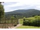 Warburton VIC 3799
