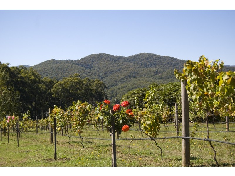 East Warburton VIC 3799