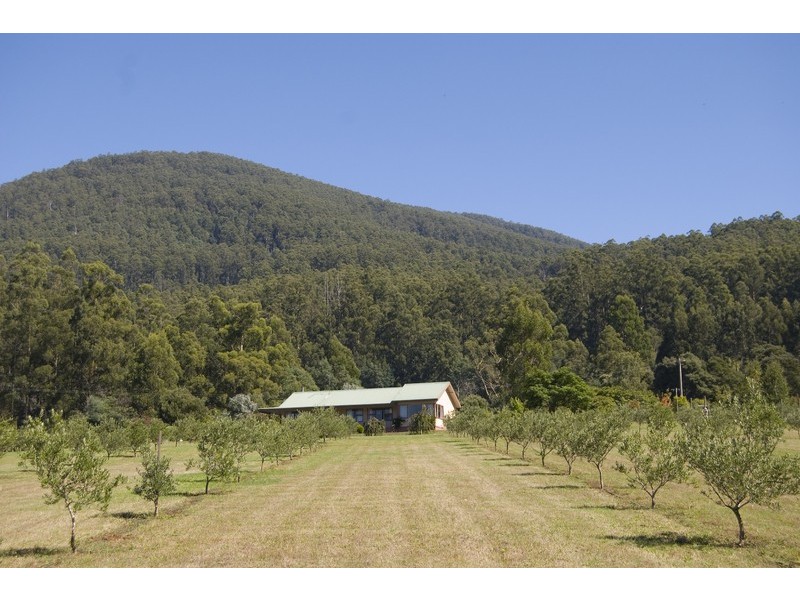 East Warburton VIC 3799