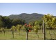 East Warburton VIC 3799