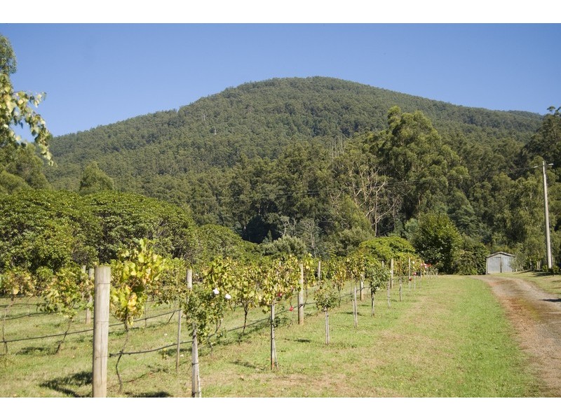 East Warburton VIC 3799