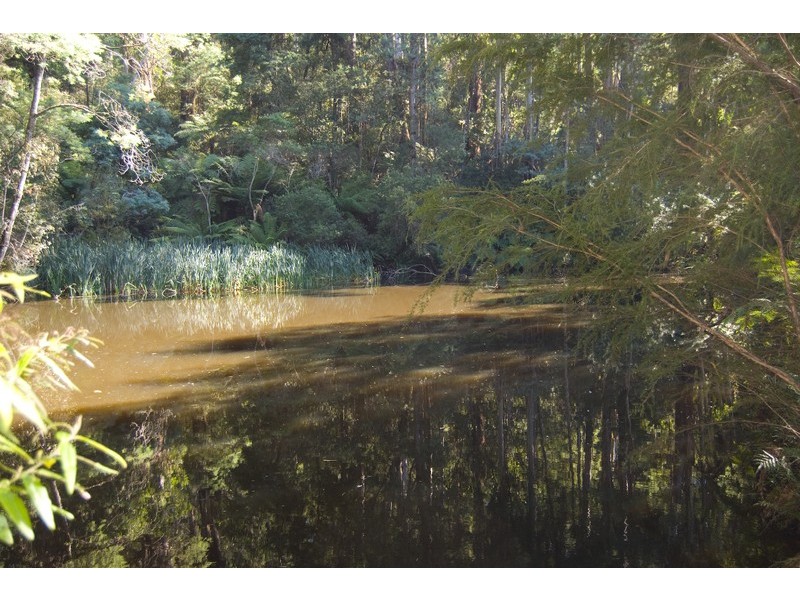 East Warburton VIC 3799