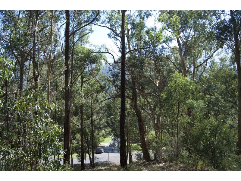 1 Damon Court, Millgrove VIC 3799