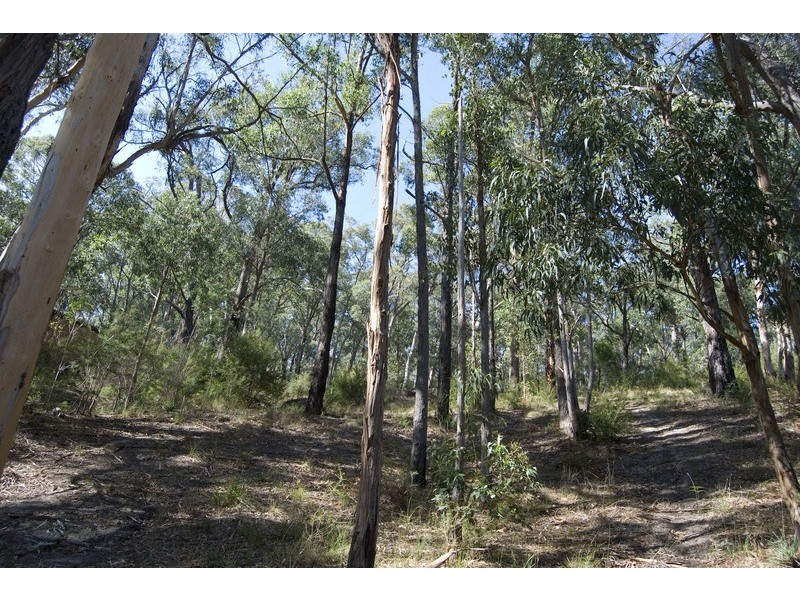 1 Damon Court, Millgrove VIC 3799