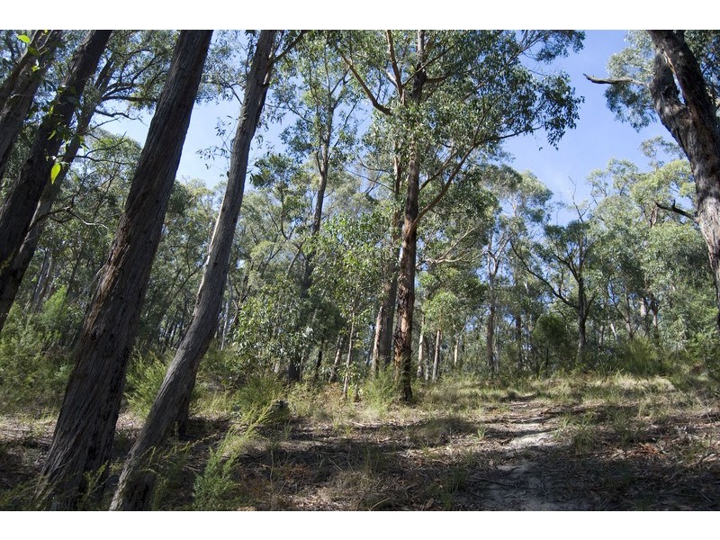 1 Damon Court, Millgrove VIC 3799