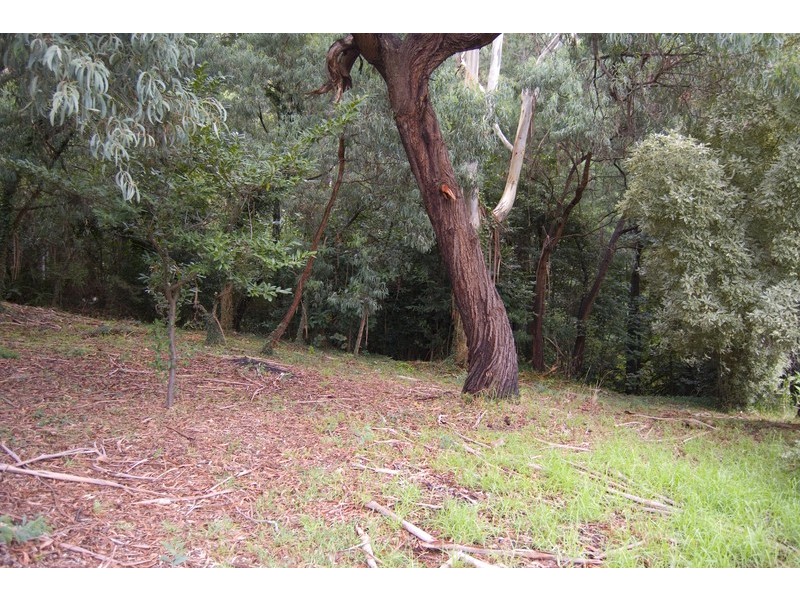 14 Clarke Avenue, Warburton VIC 3799