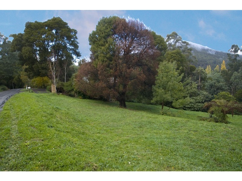 8 Wattletree Road, Warburton VIC 3799