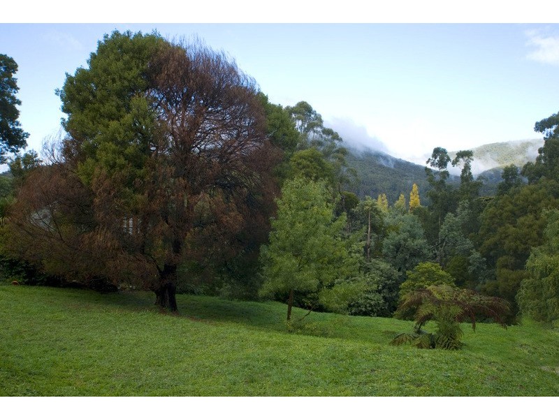 8 Wattletree Road, Warburton VIC 3799