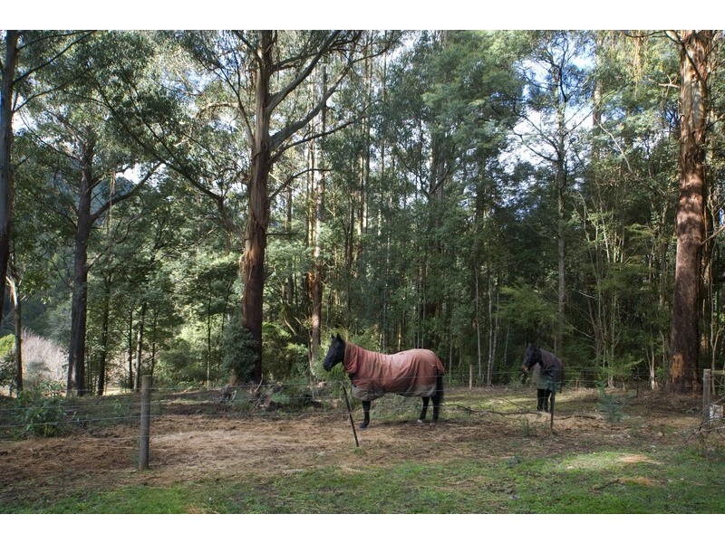 Don Valley VIC 3139